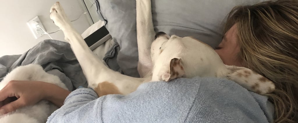 Sydney Sweeney Social Distancing With Her Dog | Photos