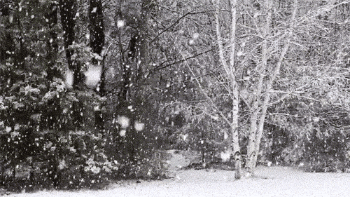 When you remember all the happy parts about Winter.