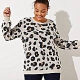 Leopard sweater loft Clearance