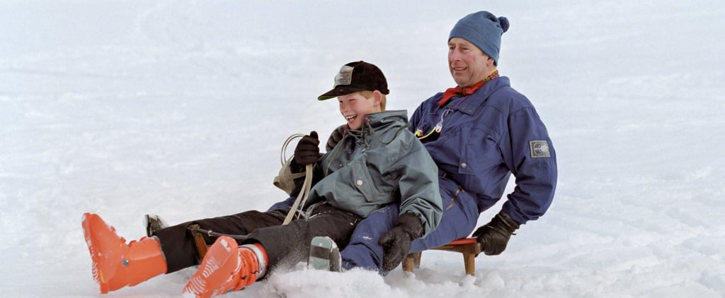 Prince Harry and Prince Charles Pictures
