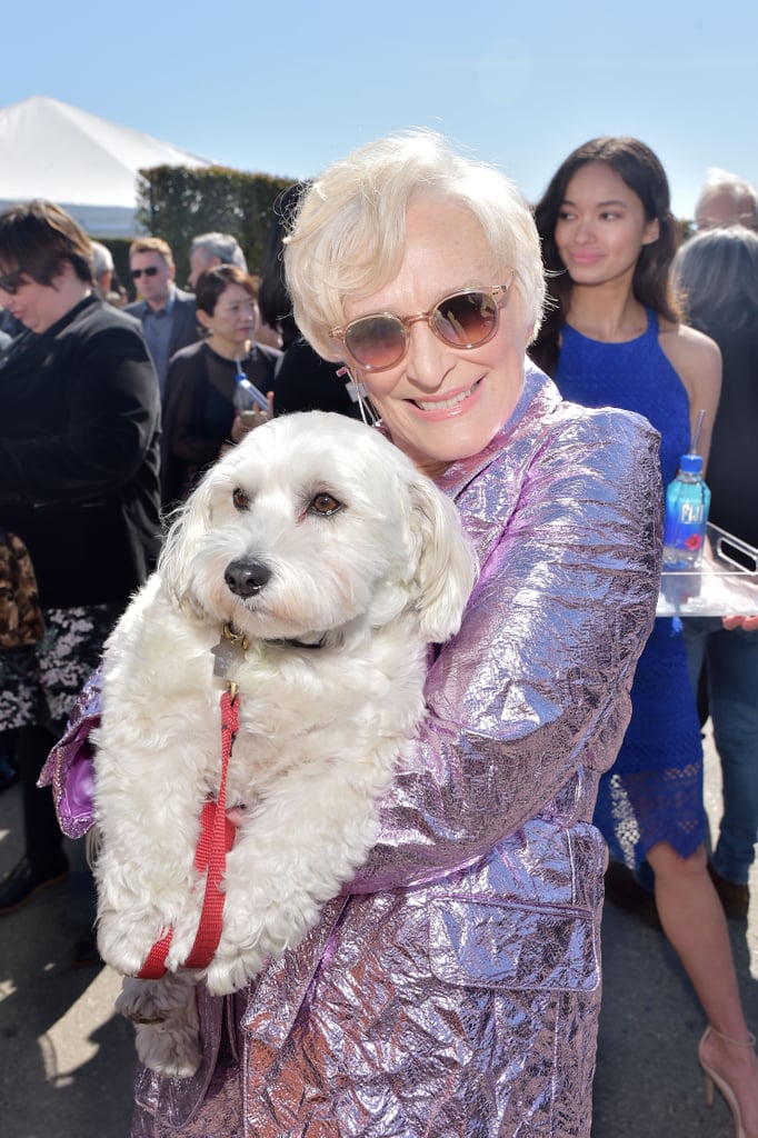 Glenn Close at the 2019 Spirit Awards