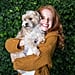 What to Know About Fostering a Dog During Coronavirus