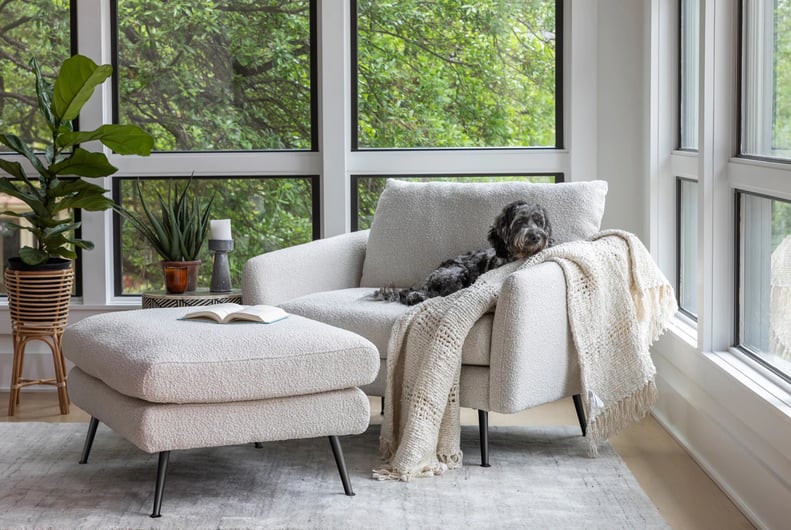 A Fuzzy Chair: Albany Park Park Armchair