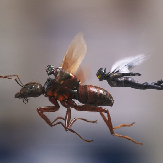 How Many Postcredit Scenes Are in Ant-Man and the Wasp?