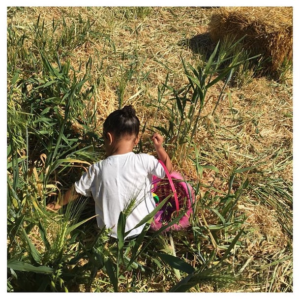 North Went Searching For Easter Eggs With Her Furry Pink Basket in Hand