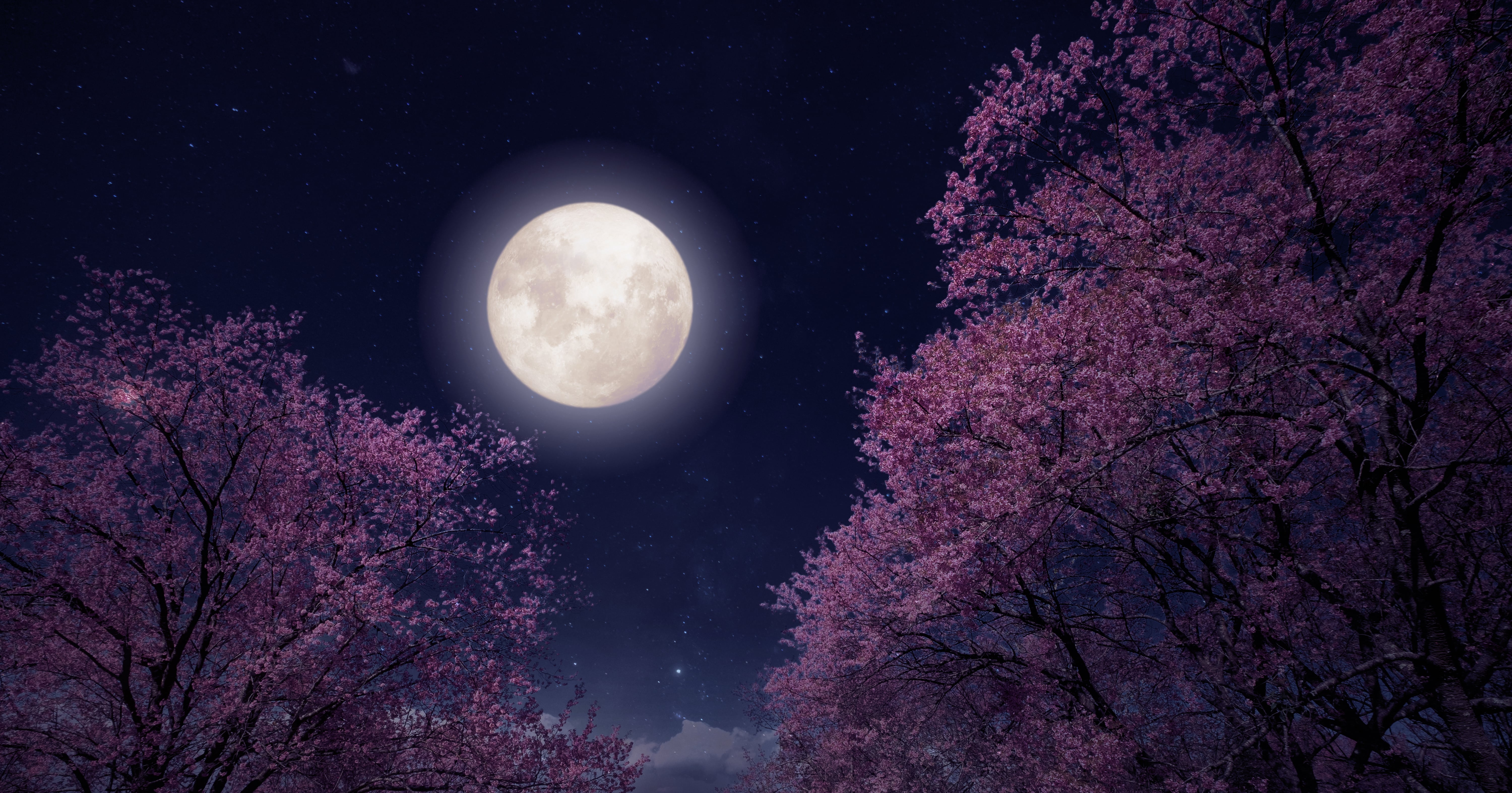 The Spiritual Meaning Behind May's Flower Moon, According to an Astrologer