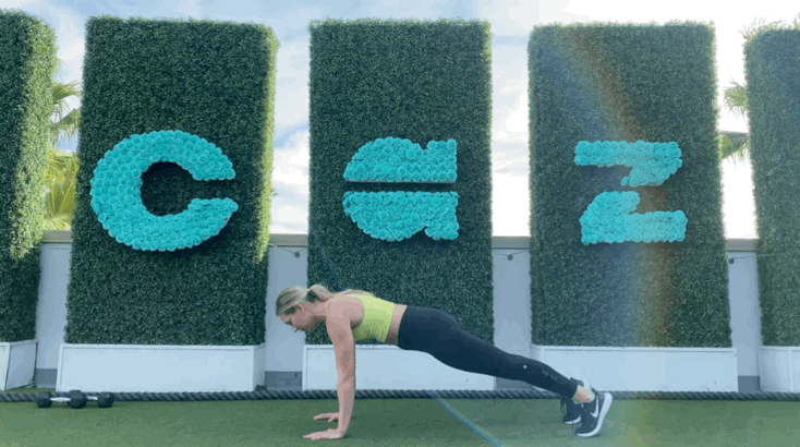 Triceps Push-Up and 4 Mountain Climbers