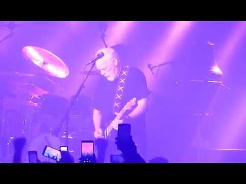 Pink Floyd's David Gilmour Sang "Purple Rain"