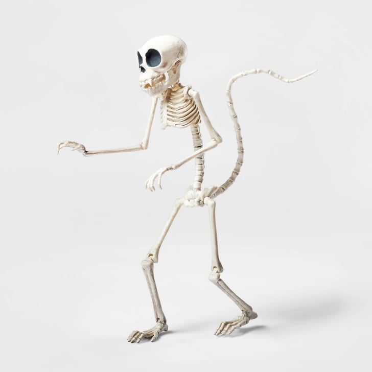 Small Monkey Skeleton Best Target Outdoor Halloween