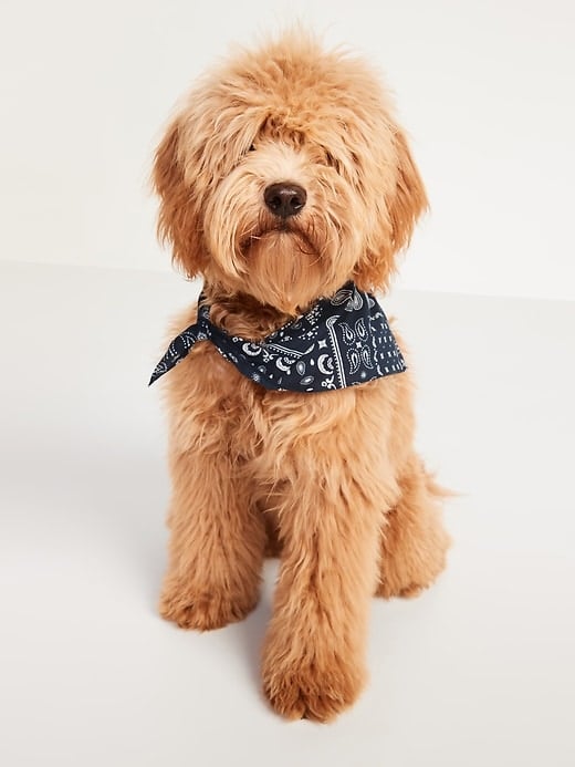 Old Navy Patterned Poplin Bandana for Pets in Blue Bandana