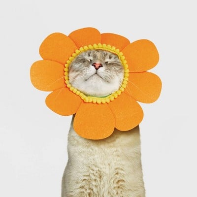 Hyde & Eek! Boutique Orange Sunflower Cat Costume