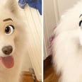 You Can "Disneyfy" Your Pets With This Handy Snapchat Filter, Because We Have Nothing Better to Do