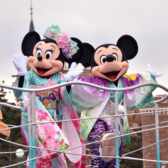 Tokyo Disneyland Guide