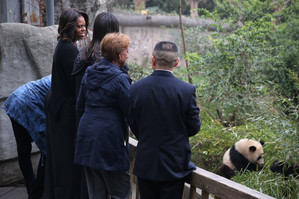 Delighting over a panda during an official visit to China in 2014.