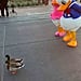 Donald and Daisy Duck Meet Real Ducks at Disney