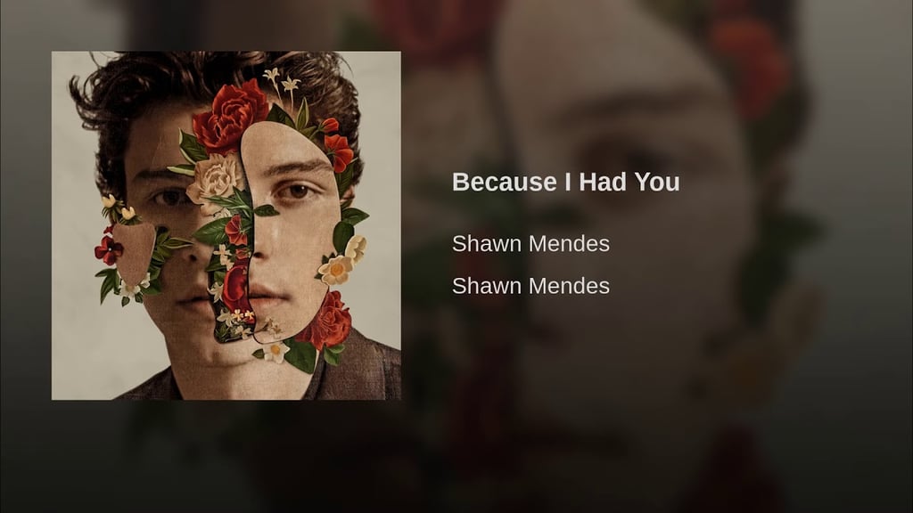 Because I Had You By Shawn Mendes Sing Your Way Into The Single Life With 2018 S Most Painfully Relatable Breakup Songs Popsugar Entertainment