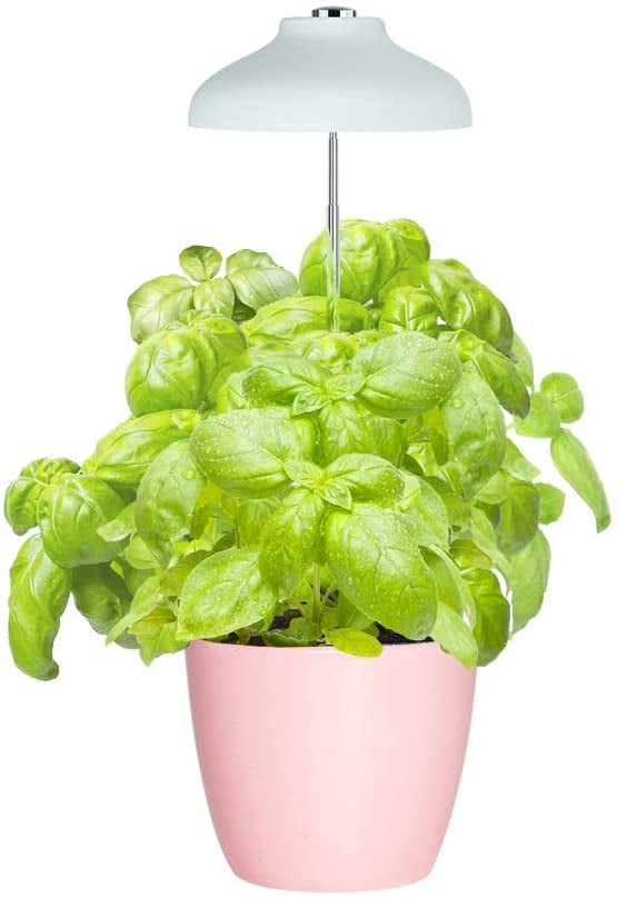 GrowLED LED Grow Umbrella Plant Grow Light​