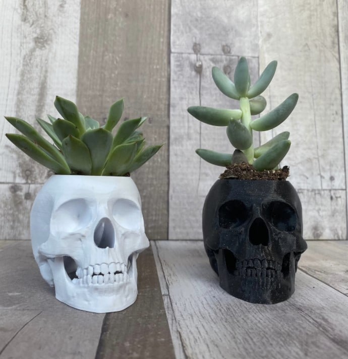 Human Skull Planter