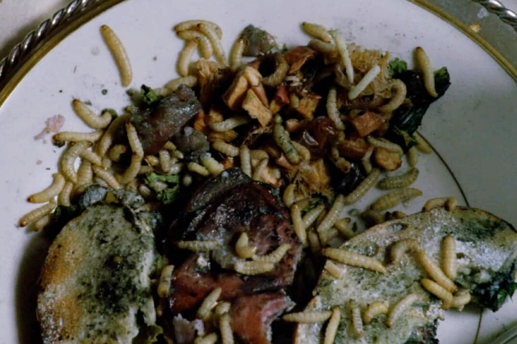 This Is Certainly Not the Plate He Picked Up With the Nice Salad on It