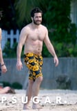 These Jake Gyllenhaal Shirtless Photos Will Give You Life