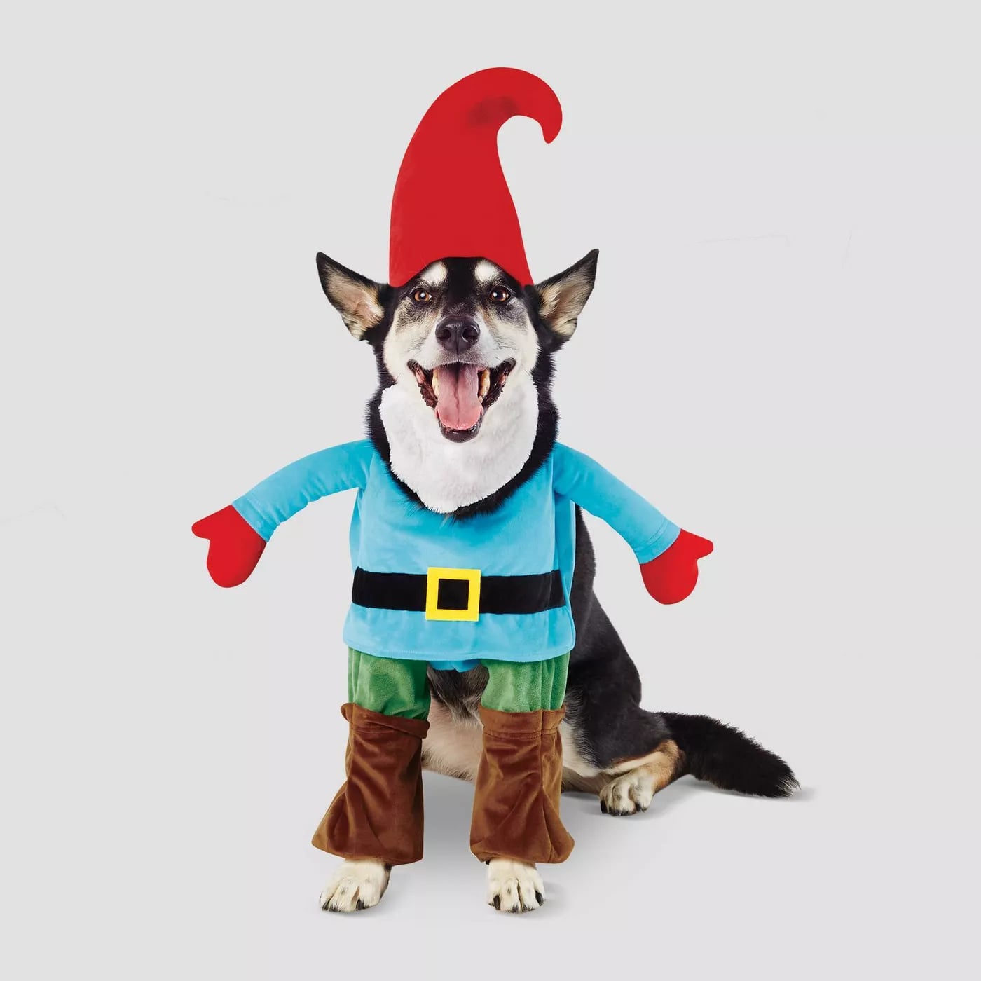 Download Gnome Dog And Cat Costume Target S Selling Matching Halloween Costumes For Cats And Dogs So Get Those Cameras Ready Popsugar Pets Photo 4