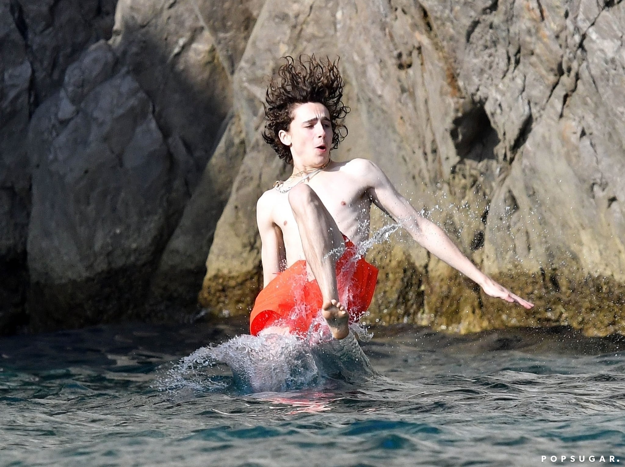 Timothee chalamet hottest