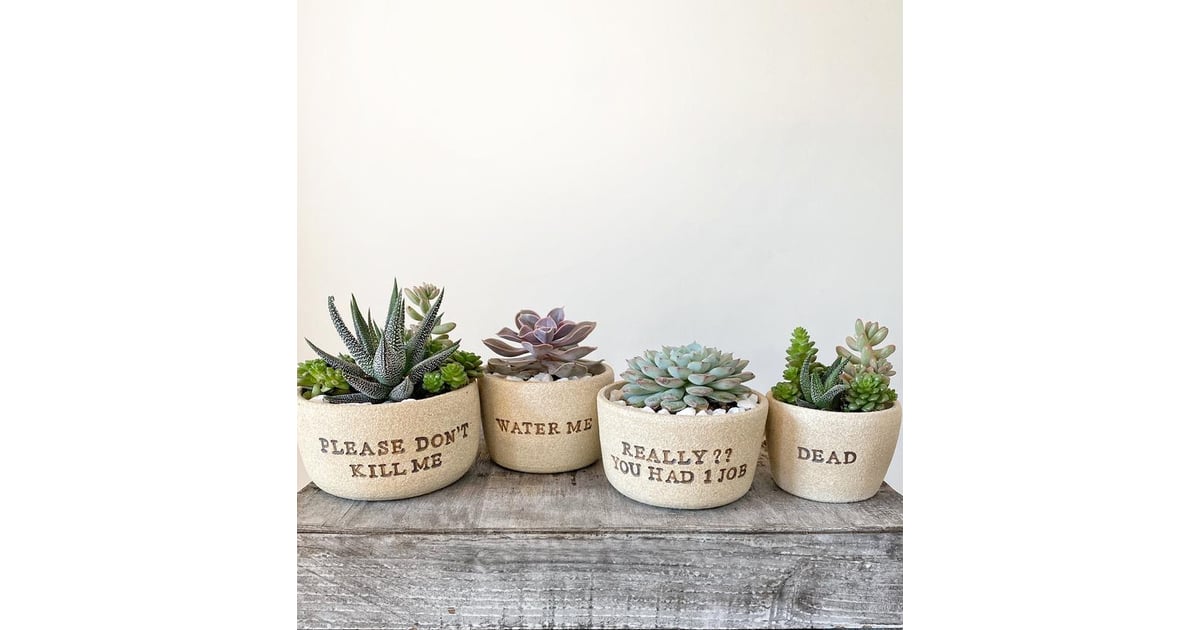 If Plants Could Talk Planter Set Your Succulent Needs This "I Wet My