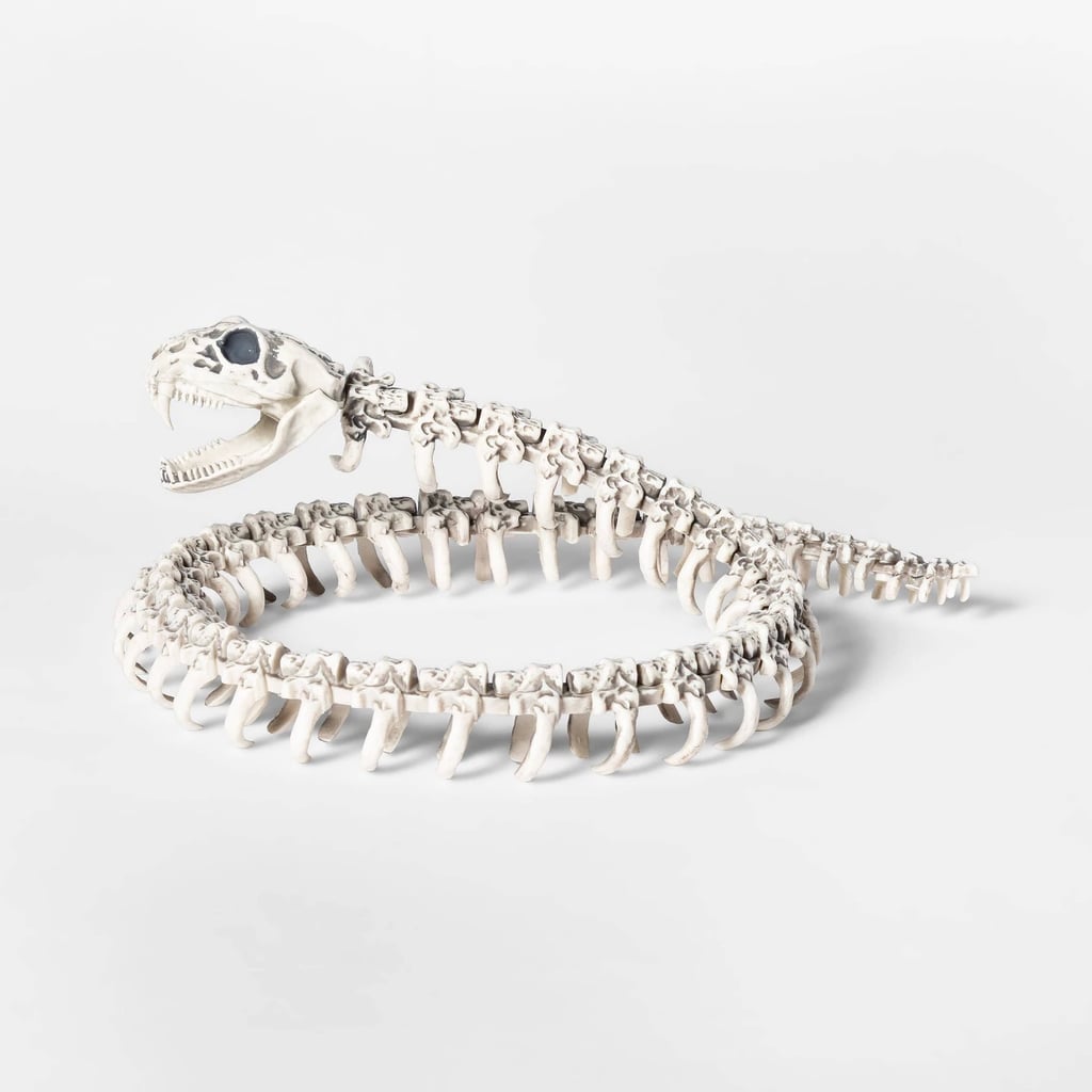 Snake Skeleton