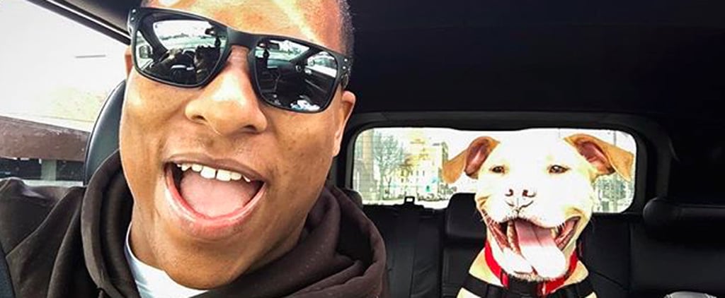 NFL Player Terrell Watson Adopts Pit Bull