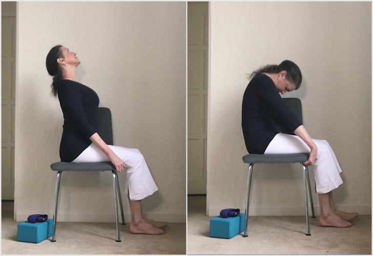Spinal Extension and Flexion FullBody Adaptive Seated Yoga Flow in a Chair POPSUGAR Fitness