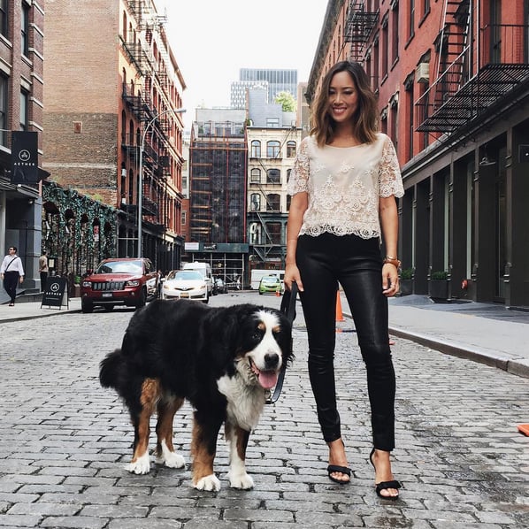 Leather and Lace, Ankle-Strap Heels, and a Dapper-Looking Dog — If You Can Find One