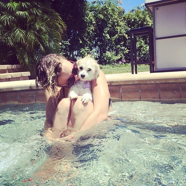 Kaley Cuoco kissed her dog in the pool.
Source: Instagram user normancook