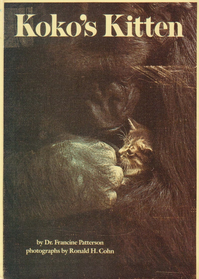 Books to Help Your Kid Cope With the Death of a Pet POPSUGAR Family