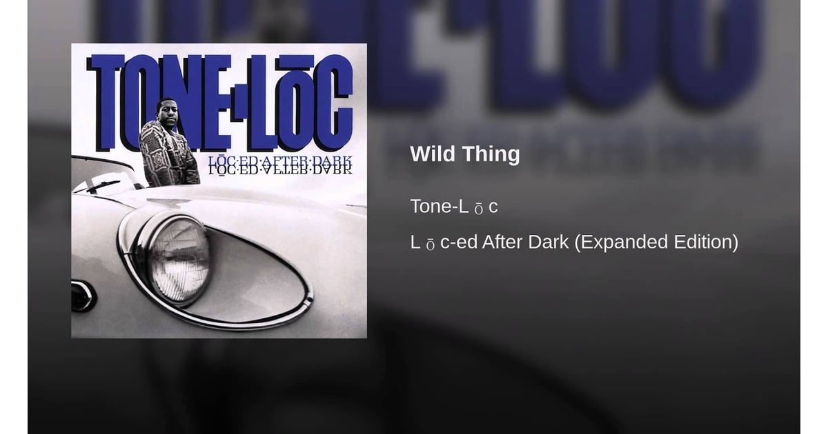 Wild Thing By Tone Loc Sex Education Tv Show Soundtrack Popsugar Entertainment Photo 35
