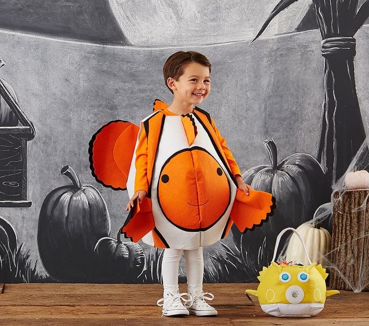 Clown Fish Costume