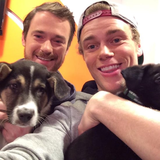 Gus Kenworthy and Sochi Stray Dogs on Today | Video