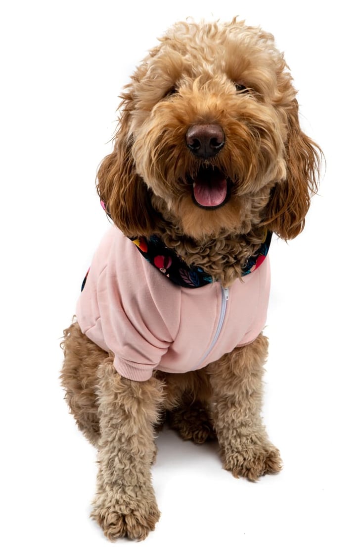 Floral dog coat discount