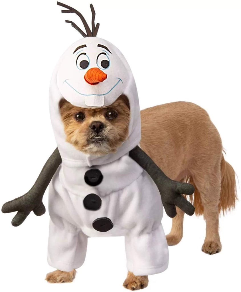 Frozen 2 Olaf Pet Costume