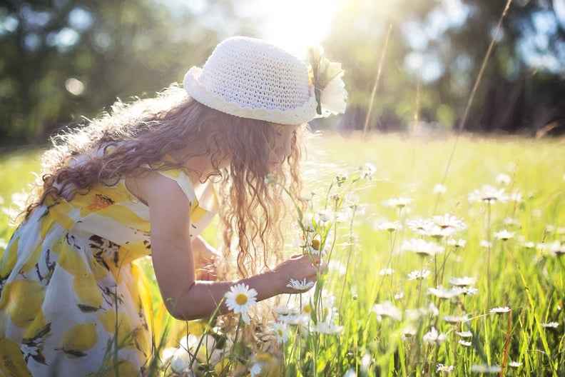 Plant a Wildflower Garden