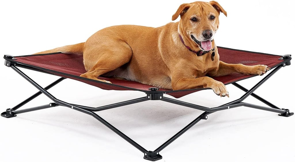 Coolaroo On the Go Cooling Elevated Dog Bed
