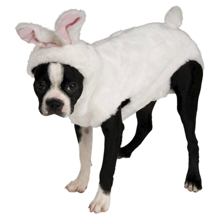 Bunny discount dog costume