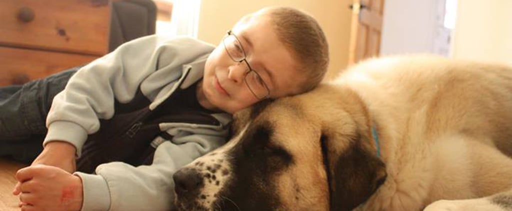 Boy With Schwartz-Jampel Syndrome Gets Help From Dog Haatchi