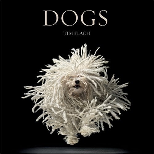 Dogs by Lewis Blackwell and Tim Flach