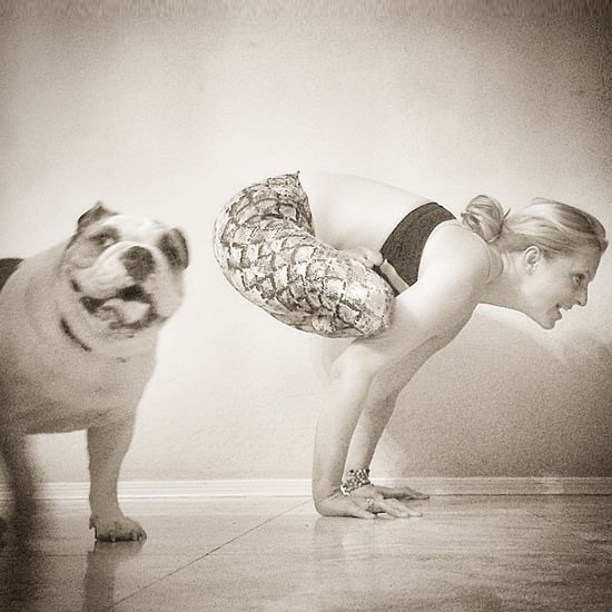 Yoga With Pets