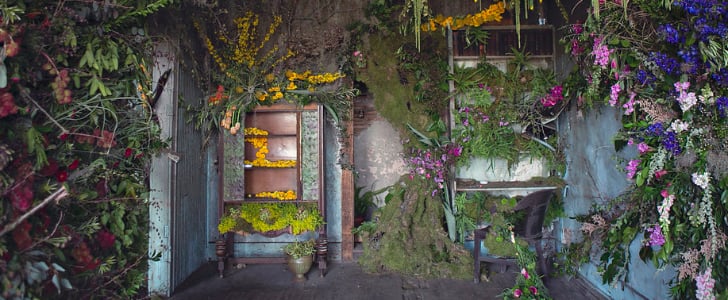 Thousands of Flowers Transform an Abandoned Detroit House