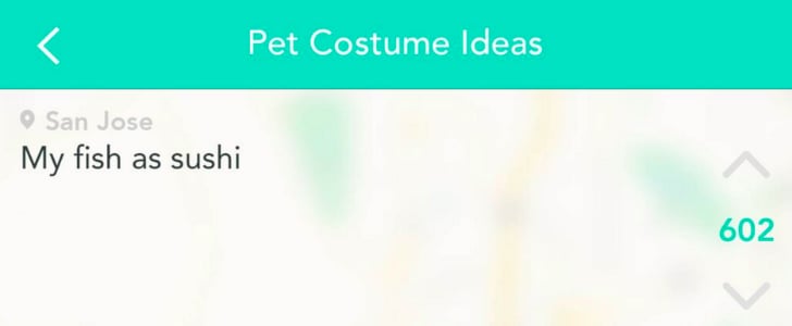 Yik Yak Users' Pet Costume Ideas For Halloween