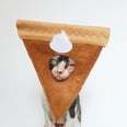 This Adorable Pumpkin Pie Halloween Costume For Pets Is For Certified Cutie Pies Only
