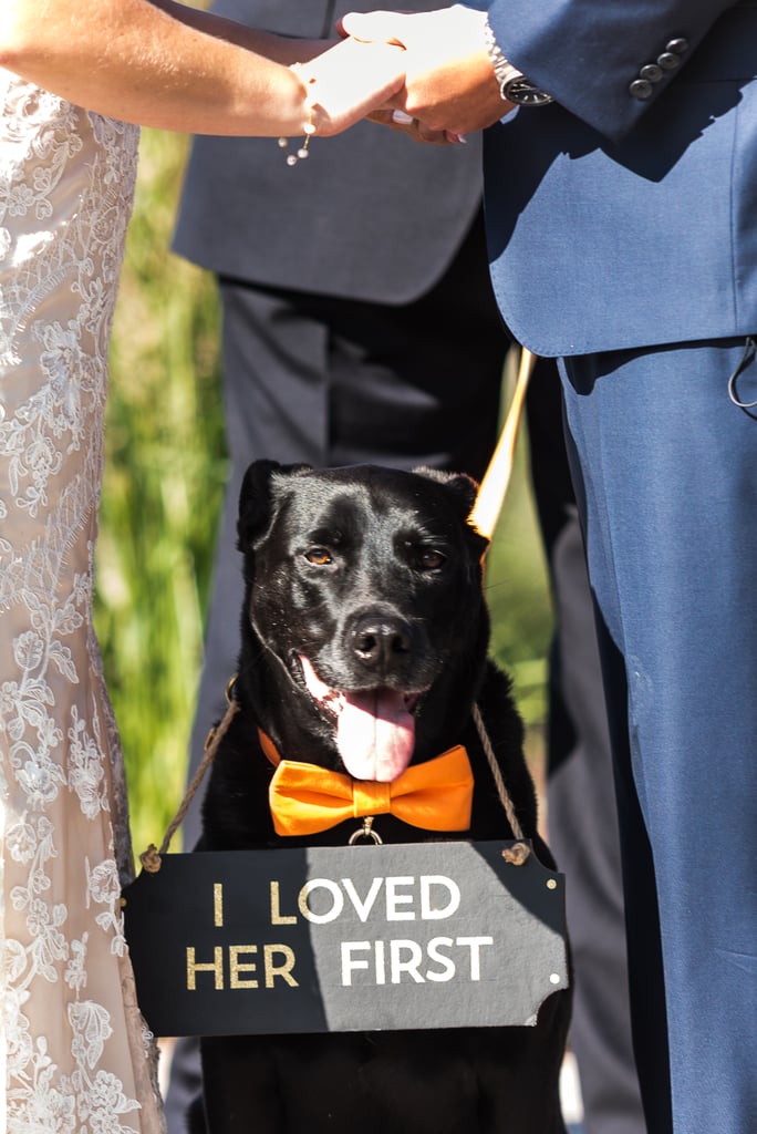 Dogs in Weddings