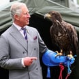 40+ Photos That Prove How Much Prince Charles Loves Animals