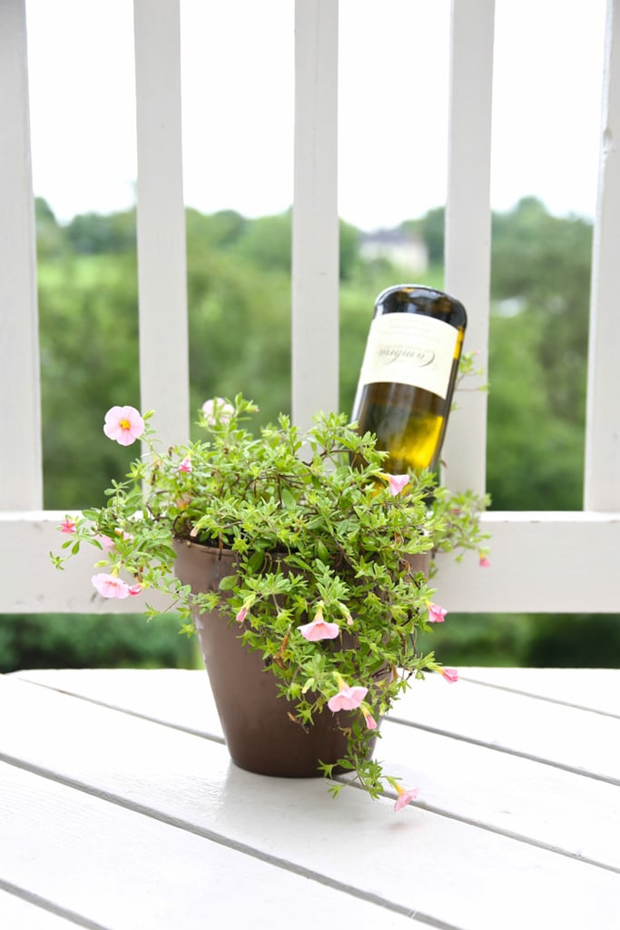 Create a DIY Watering Globe